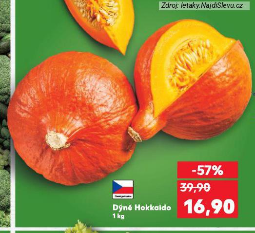 DÝNĚ HOKKAIDO