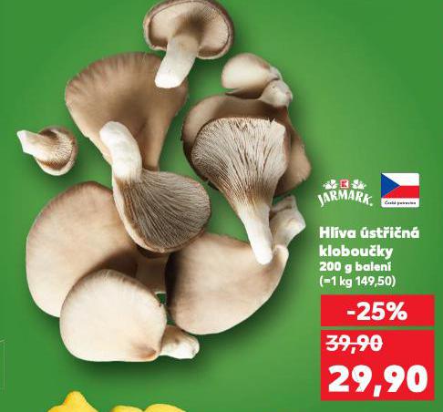 HLÍVA ÚSTŘIČNÁ KLOBOUČKY