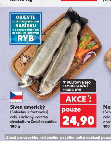 SIVEN AMERICKÝ