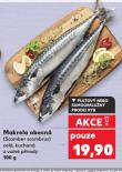 MAKRELA OBECNÁ