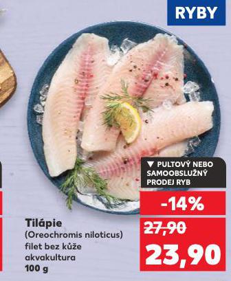 TILÁPIE