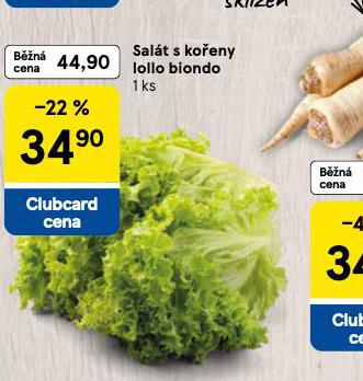SALÁT S KOŘENY LOLLO BIONDO