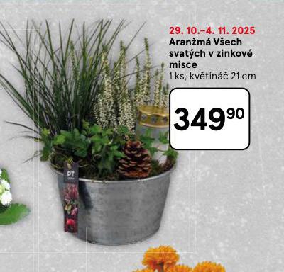 ARANŽMÁ VŠECH SVATÝCH V ZINKOVÉ MISCE