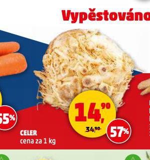 CELER
