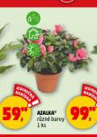 AZALKA