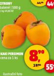KAKI PERSIMON