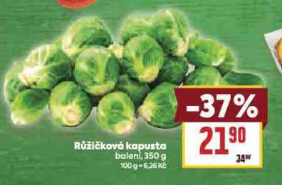 RŮŽIČKOVÁ KAPUSTA