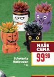 SUKULENTY HALLOWEEN