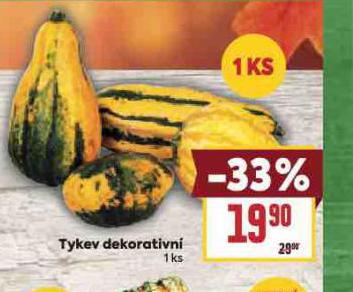 TYKEV DEKORATIVNÍ