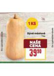 DÝNĚ MÁSLOVÁ