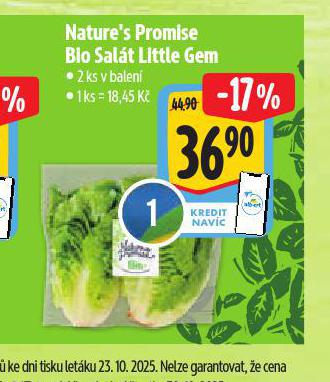 BIO SALÁT LITTLE GEM