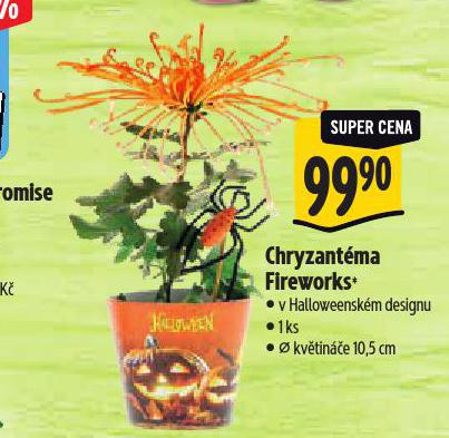 CHRYZANTMA FIREWORKS