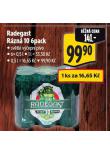 PIVO RADEGAST