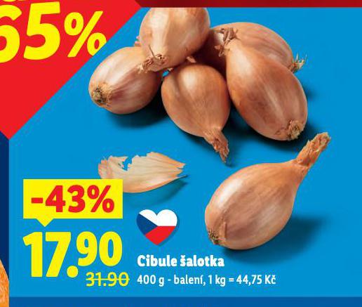 CIBULE ALOTKA