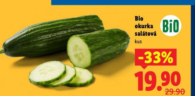 BIO OKURKA SALÁTOVÁ