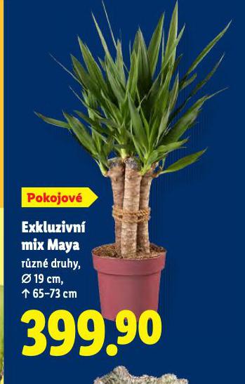 EXKLUZIVNÍ MIX MAYA