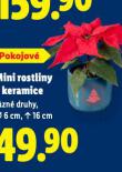 MINI ROSTLINY V KERAMICE