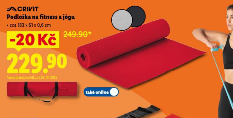 PODLOŽKA NA JOGU A FITNESS