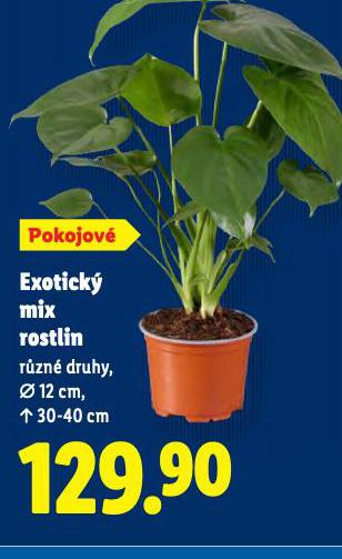 EXOTICK MIX ROSTLIN