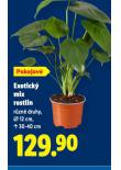 EXOTICK MIX ROSTLIN