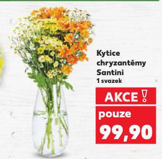 KYTICE CHRYZANTMY SANTINI