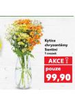 KYTICE CHRYZANTÉMY SANTINI