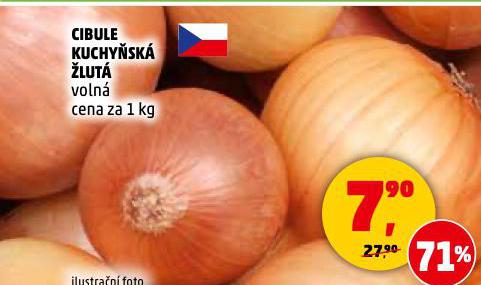 CIBULE KUCHYSK LUT