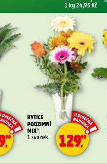 KYTICE PODZIMN MIX