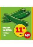 OKURKA SALÁTOVÁ