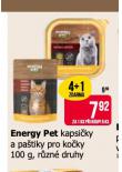ENERGY PET PAŠTIKA PRO KOČKY