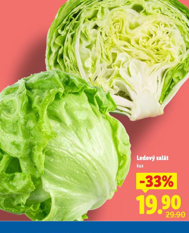 LEDOVÝ SALÁT