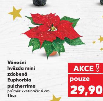 VÁNOČNÍ HVĚZDA MINI