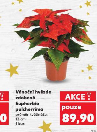 VÁNOČNÍ HVĚZDA ZDOBENÁ