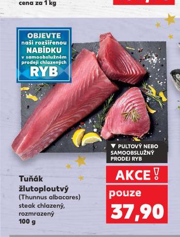 TUŇÁK ŽLUTOPLOUTVÝ