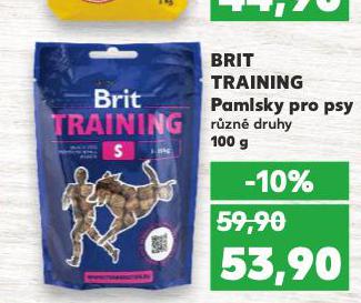 BRIT TRAINING PAMLSKY PRO PSY