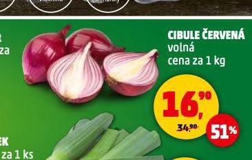 CIBULE ERVEN