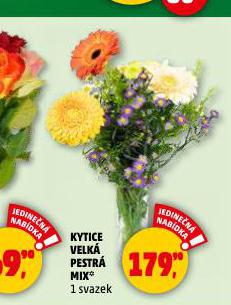 KYTICE VELK PESTR MIX