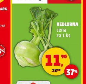 KEDLUBNA