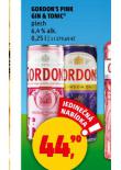 GORDON'S GIN & TONIC