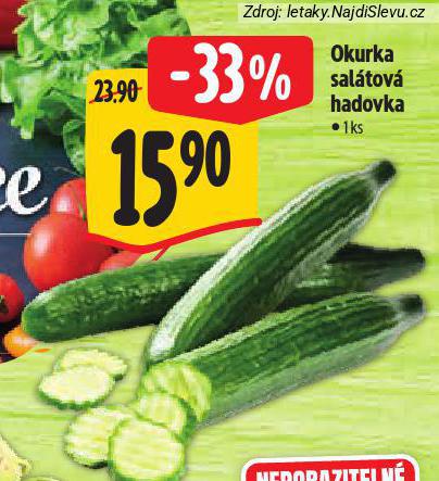 OKURKA SALTOV HADOVKA