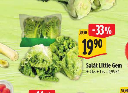SALÁT LITTLE GEM