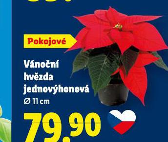 VNON HVZDA JEDNOVHONOV