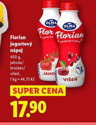 FLORIAN JOGURTOV NPOJ