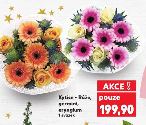 KYTICE - RŮŽE, GERMINI, ERYNGIUM