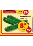 OKURKA SALÁTOVÁ