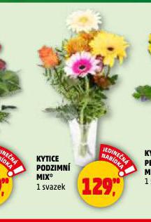 KYTICE PODZIMNÍ MIX