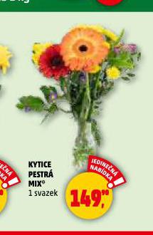 KYTICE PESTRÁ MIX