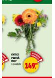 KYTICE PESTRÁ MIX