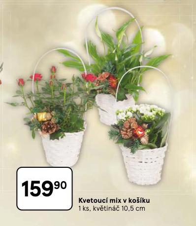 KVETOUCÍ MIX V KOŠÍKU