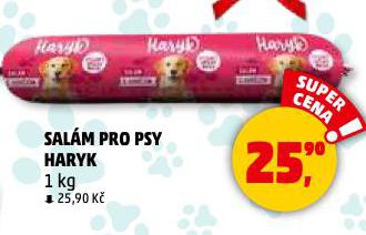 HARYK SALM PRO PSY